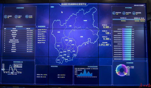 数据驱动治理新范式 白云区如何深耕37亿条政务数据服务