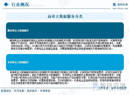 2026年中国商业大数据服务行业市场运行态势分析与未来增长潜力展望